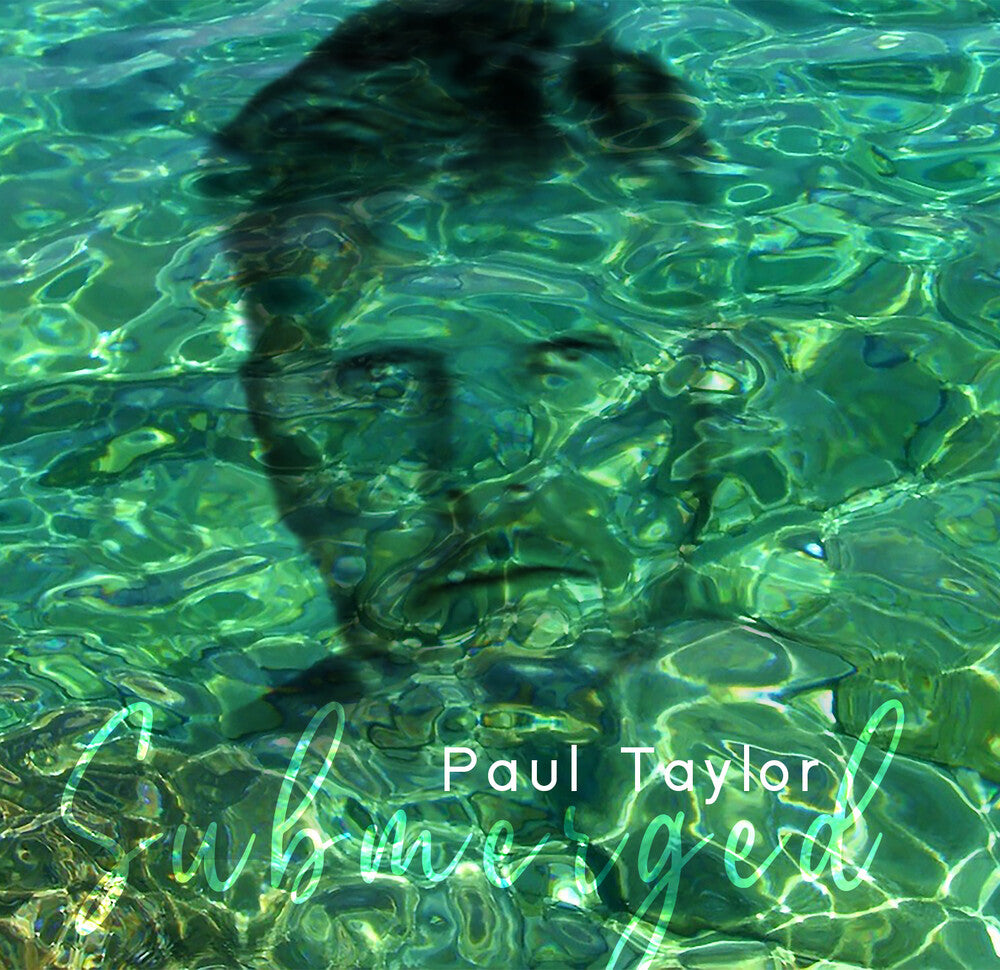 the album cover for Paul Taylor - Submerged