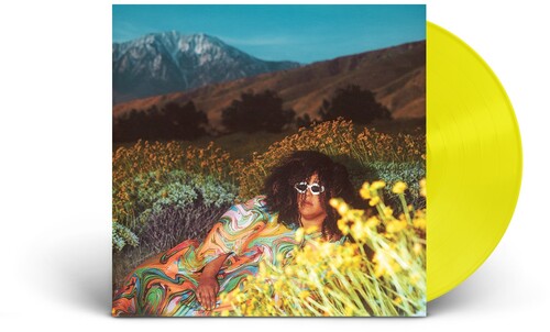 Howard,brittany - What Now - Vinyl Record