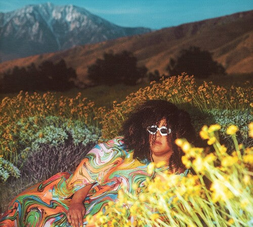 Brittany Howard - What Now Vinyl Record