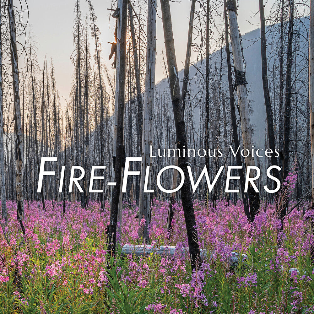 the album cover for Brahms / Wadsworth / Luminous Voices - Fire-Flowers