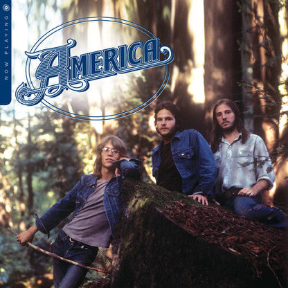 America - Now Playing Vinyl Record