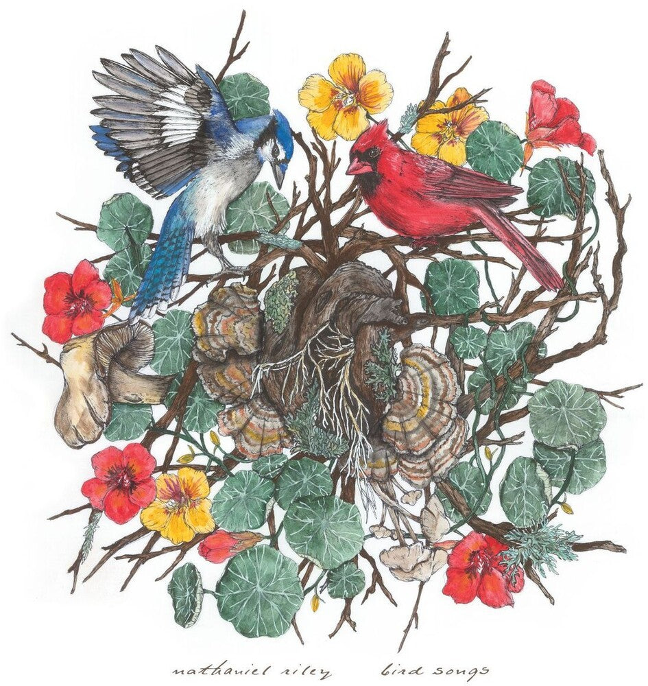 Bird Songs [LP] Vinyl Record