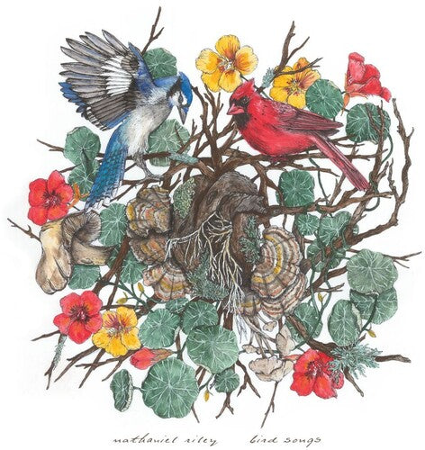 Riley,nathaniel - Bird Songs - Vinyl Record