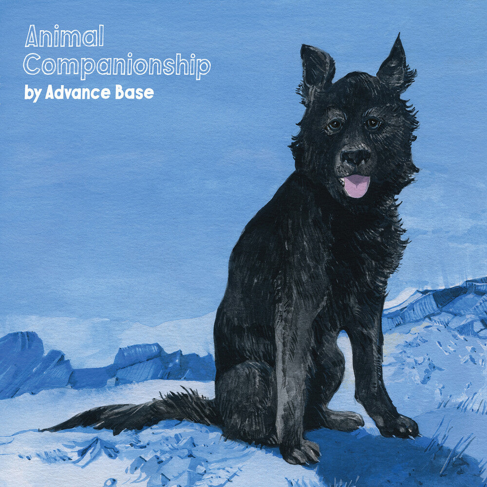 Animal Companionship [Colored Vinyl] Vinyl Record