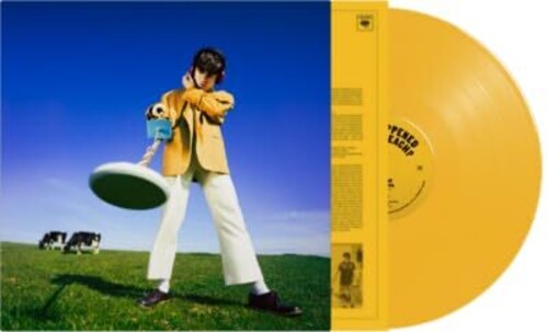 Mckenna,declan - What Happened To The Beach? - Vinyl Record
