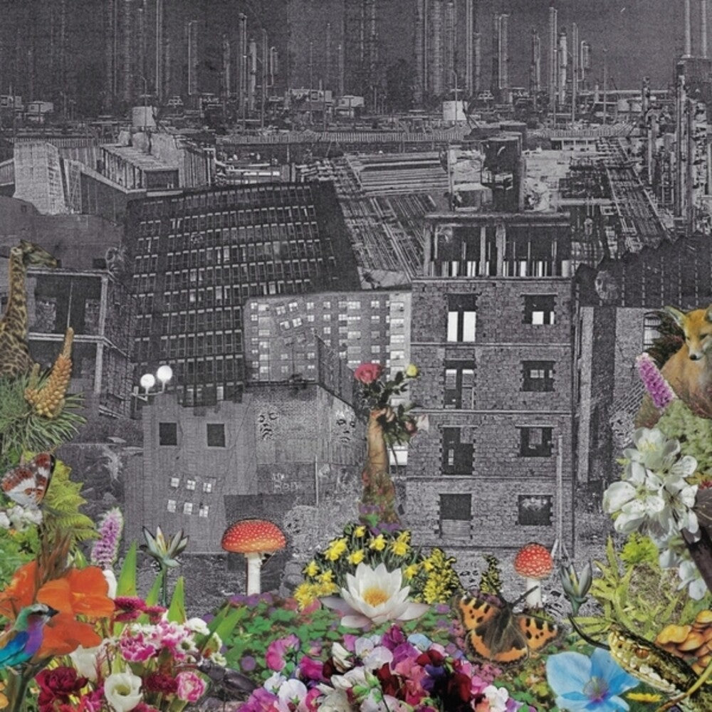 Perpetual Eden (Can) [LP] Vinyl Record