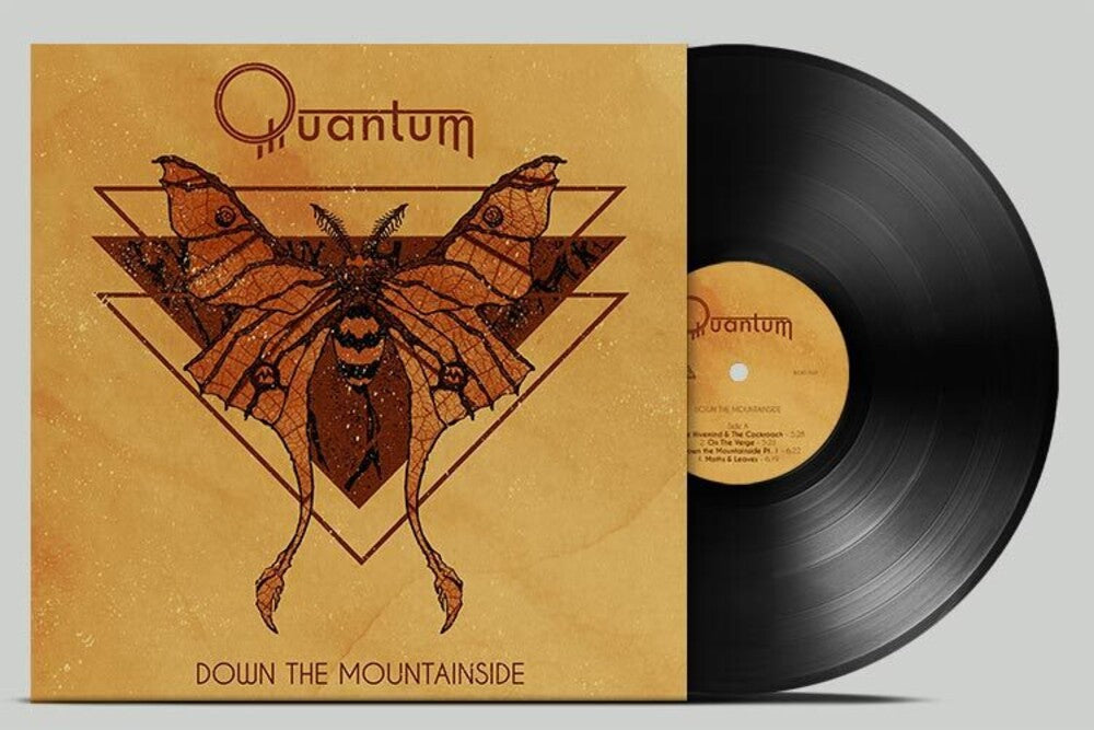Down The Mountainside [LP] Vinyl Record