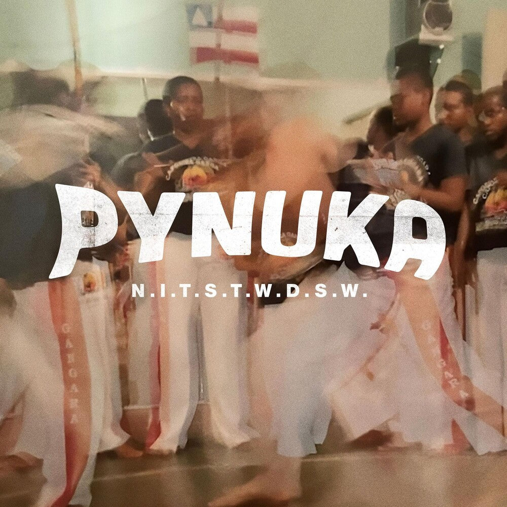 N.I.T.S.T.W.D.S.W. [LP] Vinyl Record