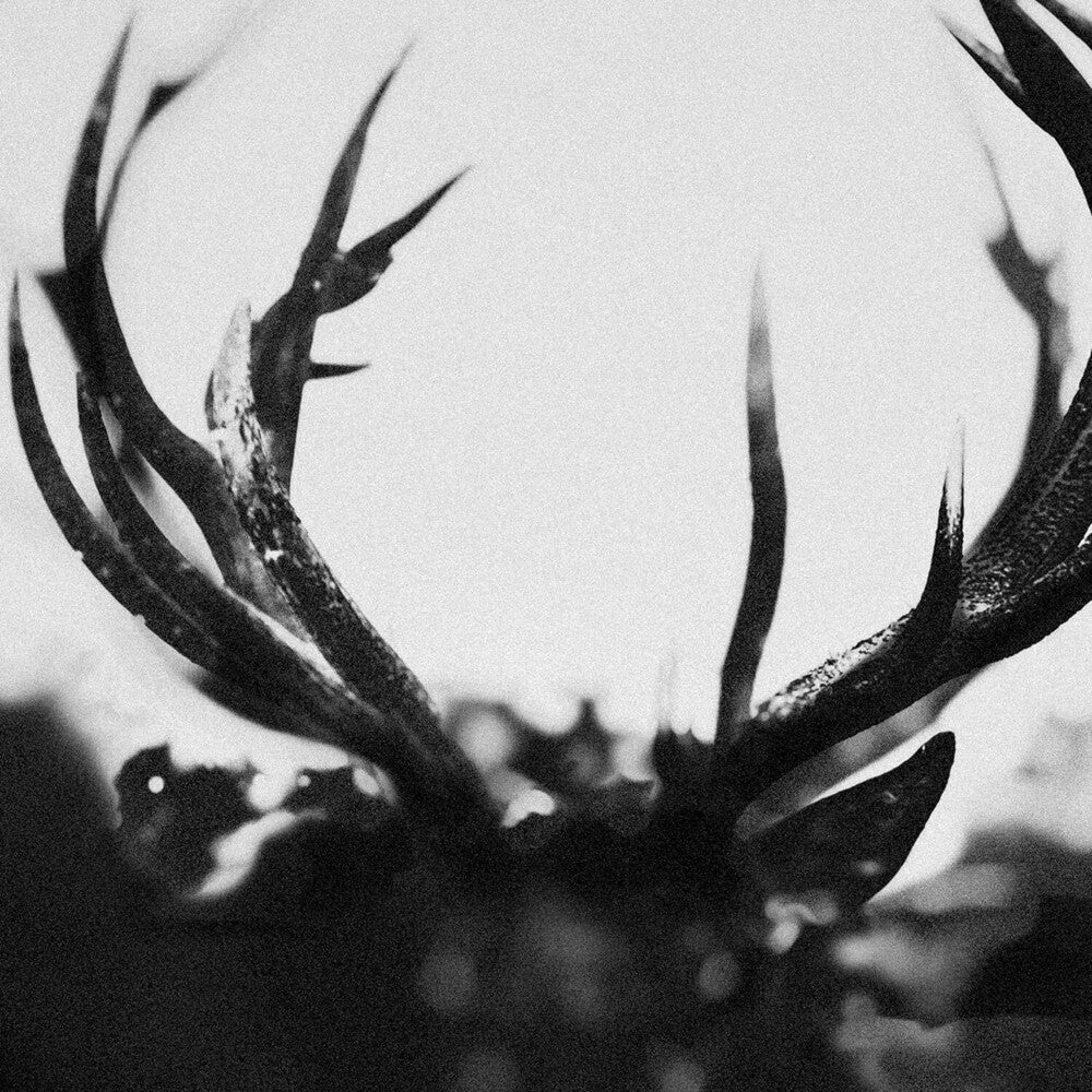 Ihsahn [LP] Vinyl Record