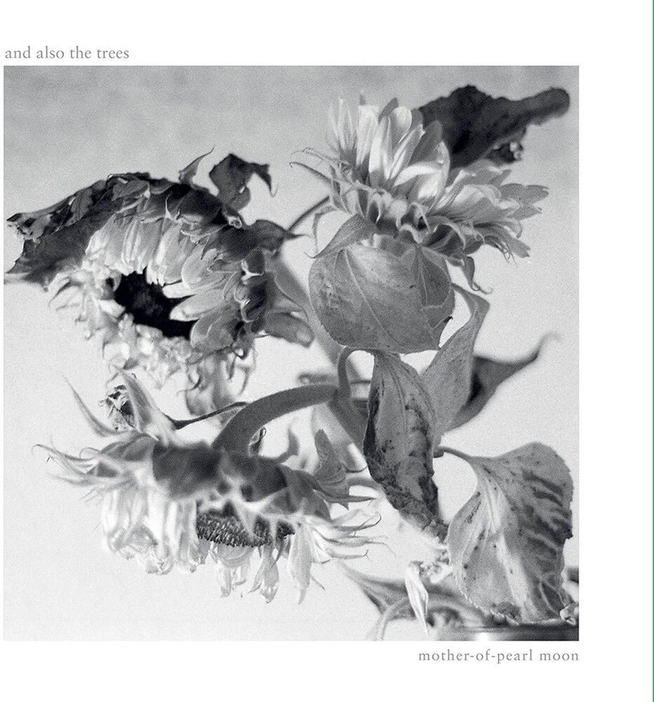 And Also The Trees - Mother-Of-Pearl Moon (Uk) [LP] Vinyl Record
