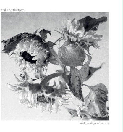 And Also the Trees - Mother-Of-Pearl Moon Vinyl Record