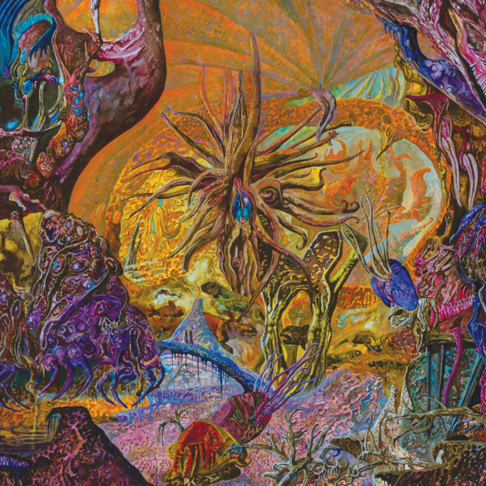 SlimeLord - Chytridiomycosis Relinquished - Orange/royal Blue [LP] Vinyl Record