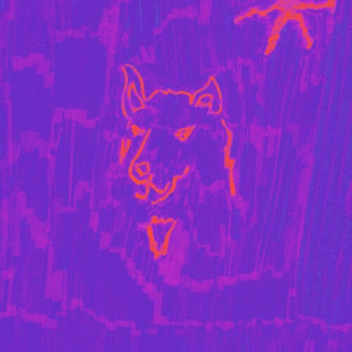 Dehd - Poetry Vinyl Record