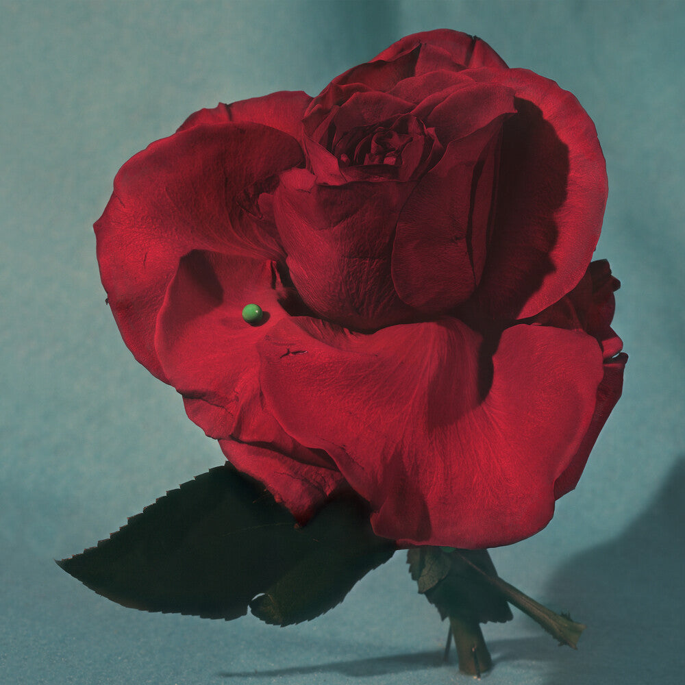 METZ - Up On Gravity Hill [Colored Vinyl] Vinyl Record