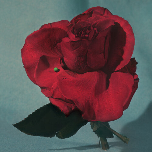 METZ - Up on Gravity Hill [Clear/Red] Vinyl Record