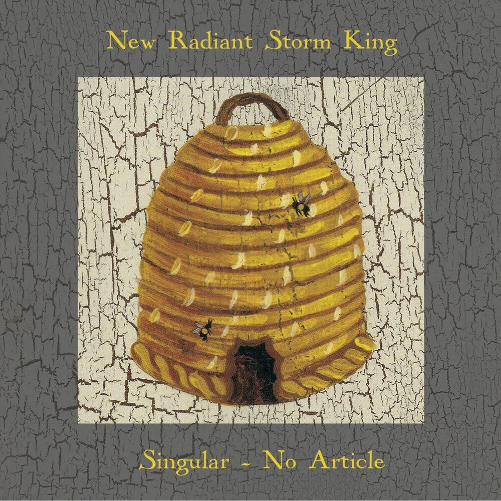 Singular No Article [Limited Edition] Vinyl Record