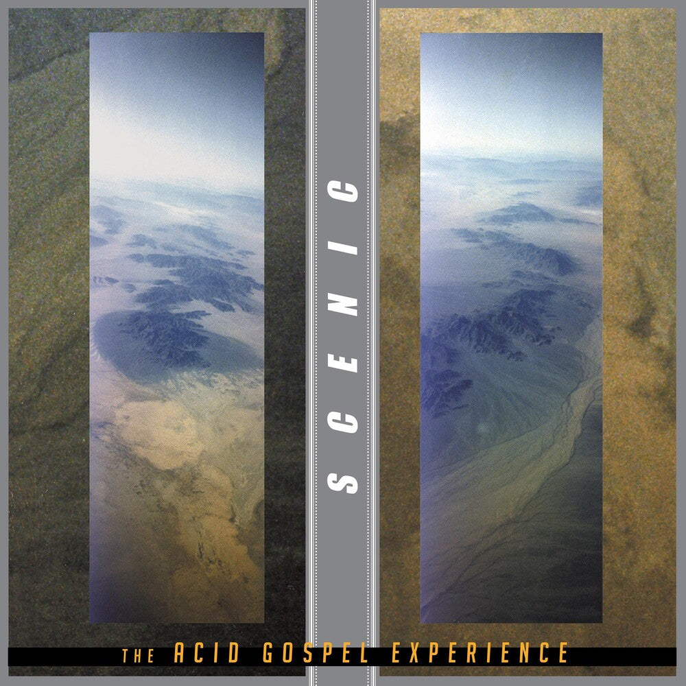 Acid Gospel Experience [Clear Vinyl] (Grn) [Record Store Day] Vinyl Record