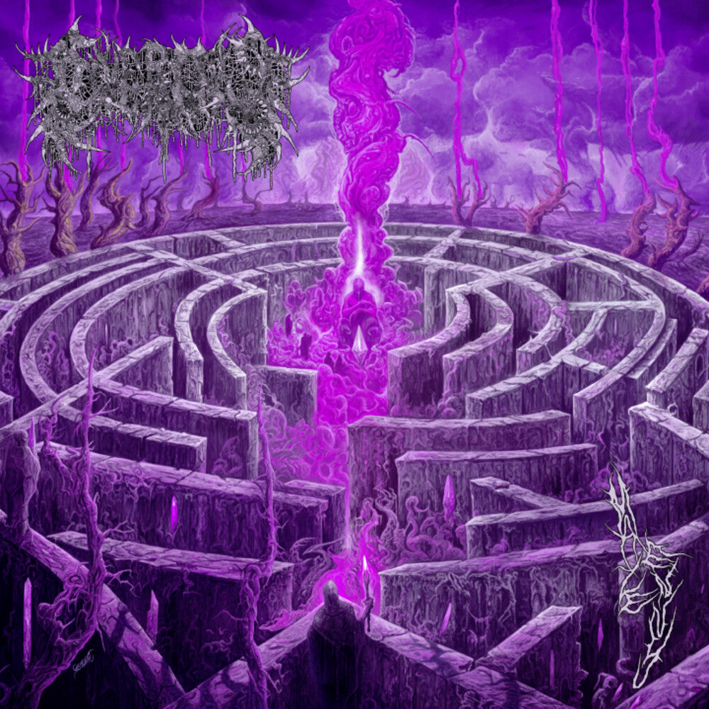 Civerous - Maze Envy [Colored Vinyl] [Limited Edition] (Mgta) (Purp) Vinyl Record