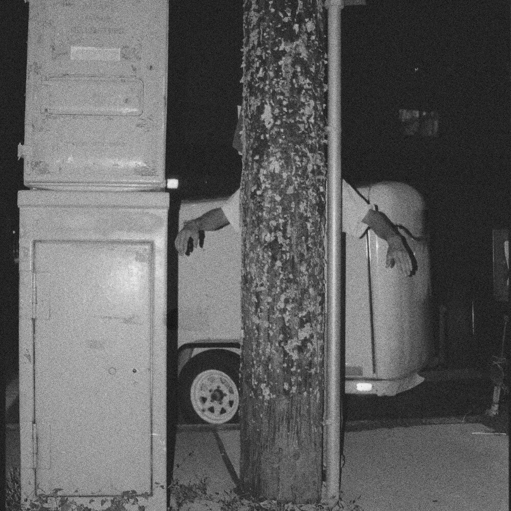 Paper Tiger - All Over The Place [LP] Vinyl Record