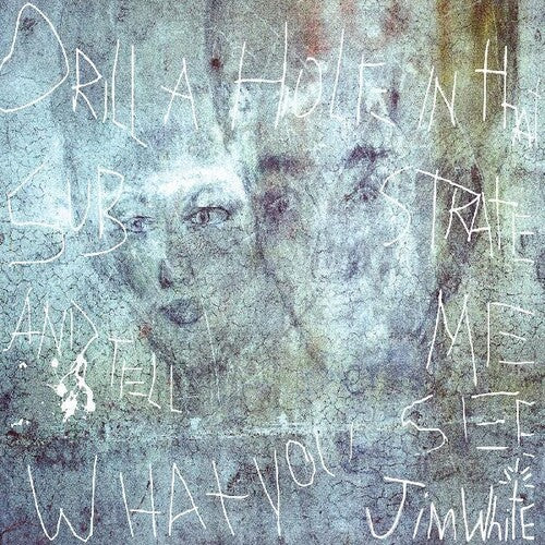 Jim White - Drill A Hole In That Substrate And Tell Me What Vinyl Record