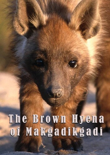 Brown Hyena Of Makgadikgadi - Brown Hyena Of Makgadikgadi - DVD