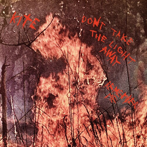 Kite - Don't Take The Light Away / Remember Me - Vinyl Record