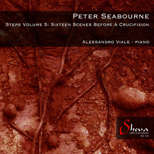 the album cover for Alessandro Viale - Steps Volume 5: Sixteen Scenes Before A Crucifixio