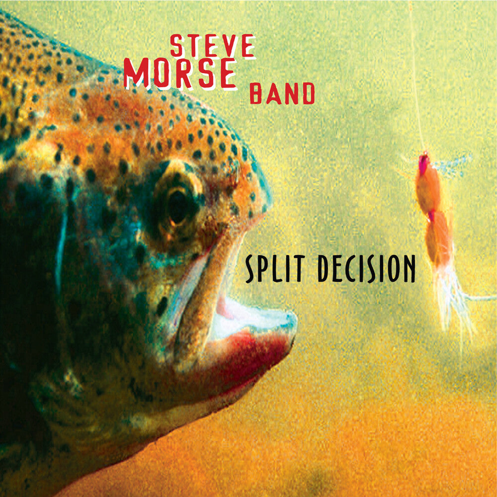 Steve Morse  Band - Split Decision [LP] Vinyl Record