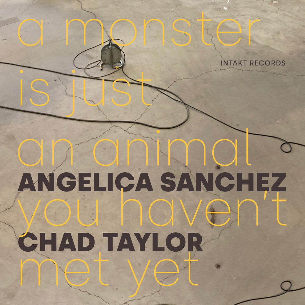 the album cover for Angelica Sanchez - Monster Is Just An Animal You Haven't Met Yet