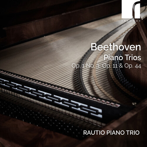 Beethoven,l.v. / Rautio Piano Trio - Piano Trios Op. 1 No. 3 Op. 11 & Op. 44 - Music CD