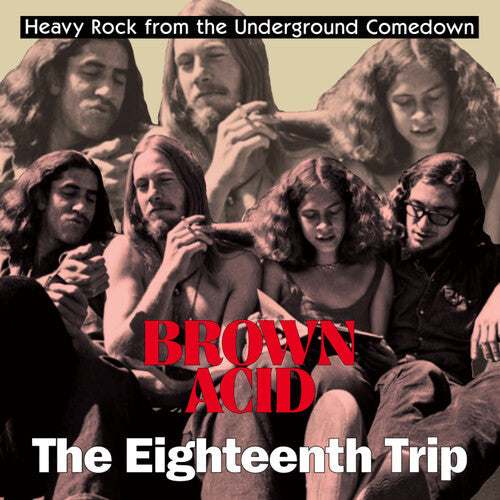 Various Artists - Brown Acid - The Eighteenth Trip Vinyl Record