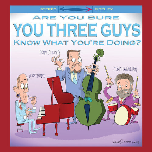 Are You Sure You Three Guys Know What You're Doing? Vinyl Record