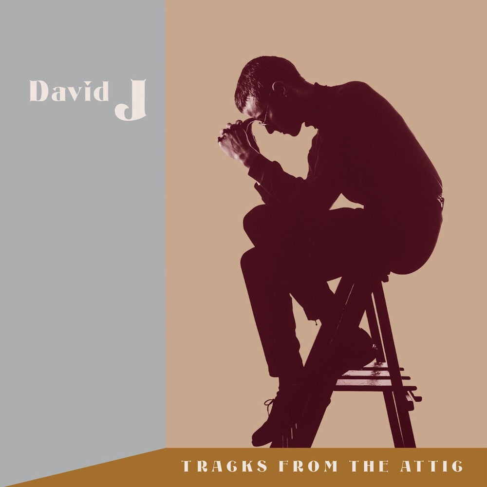 Tracks From The Attic (W/Cd) (Brwn) [Clear Vinyl] Vinyl Record