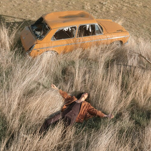 Rothman,lawrence - Plow That Broke The Plains - Vinyl Record