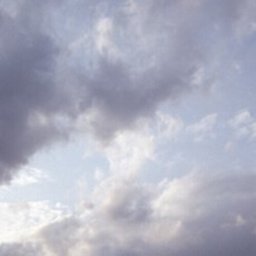 Celer - It Would Be Giving Up - Music CD