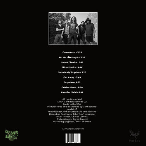 The Velvicks - Greatest Hits Vinyl Record