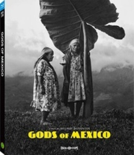 Gods Of Mexico - Gods Of Mexico - Blu-ray