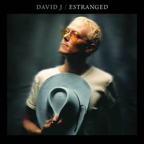 David J - Estranged Vinyl Record