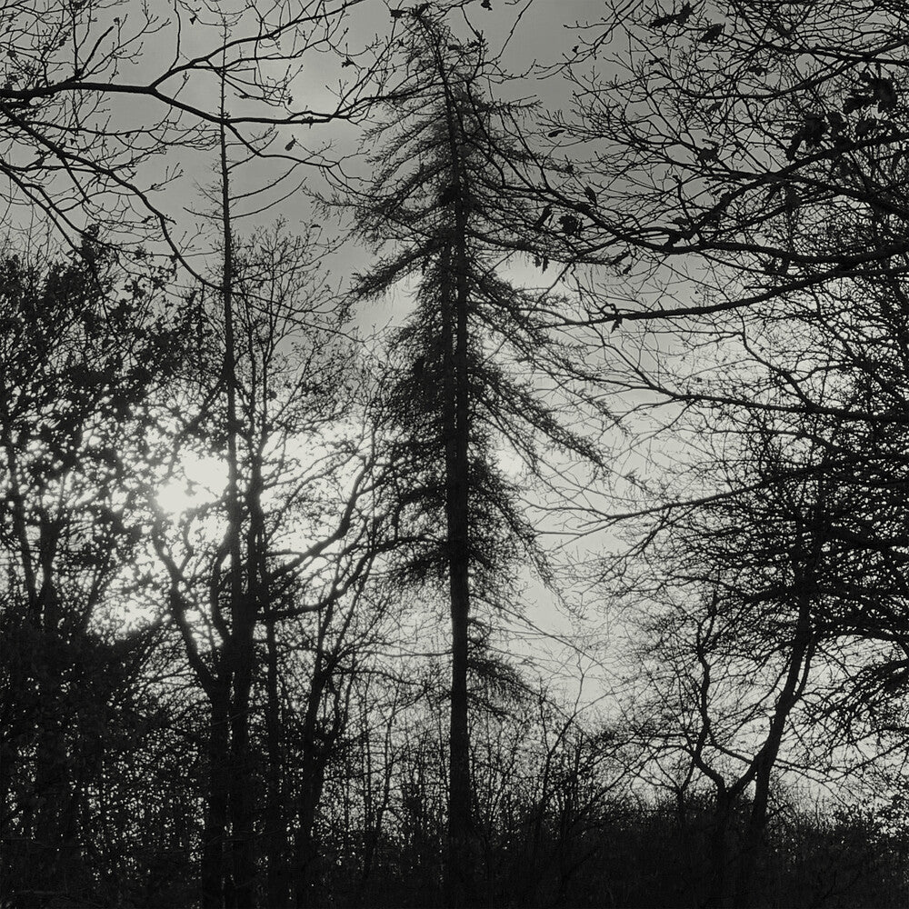 Feral Earth [LP] Vinyl Record