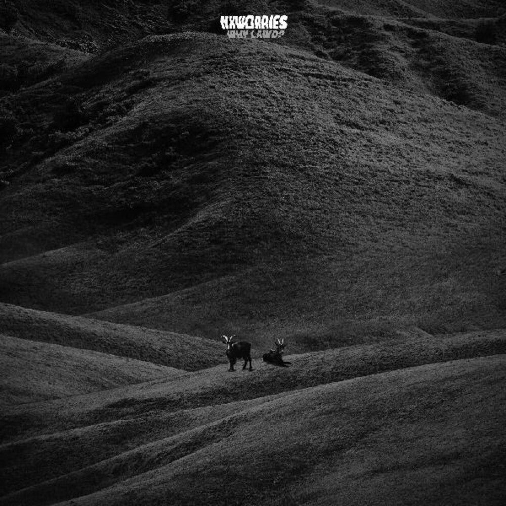 the album cover for NxWorries - Why Lawd?