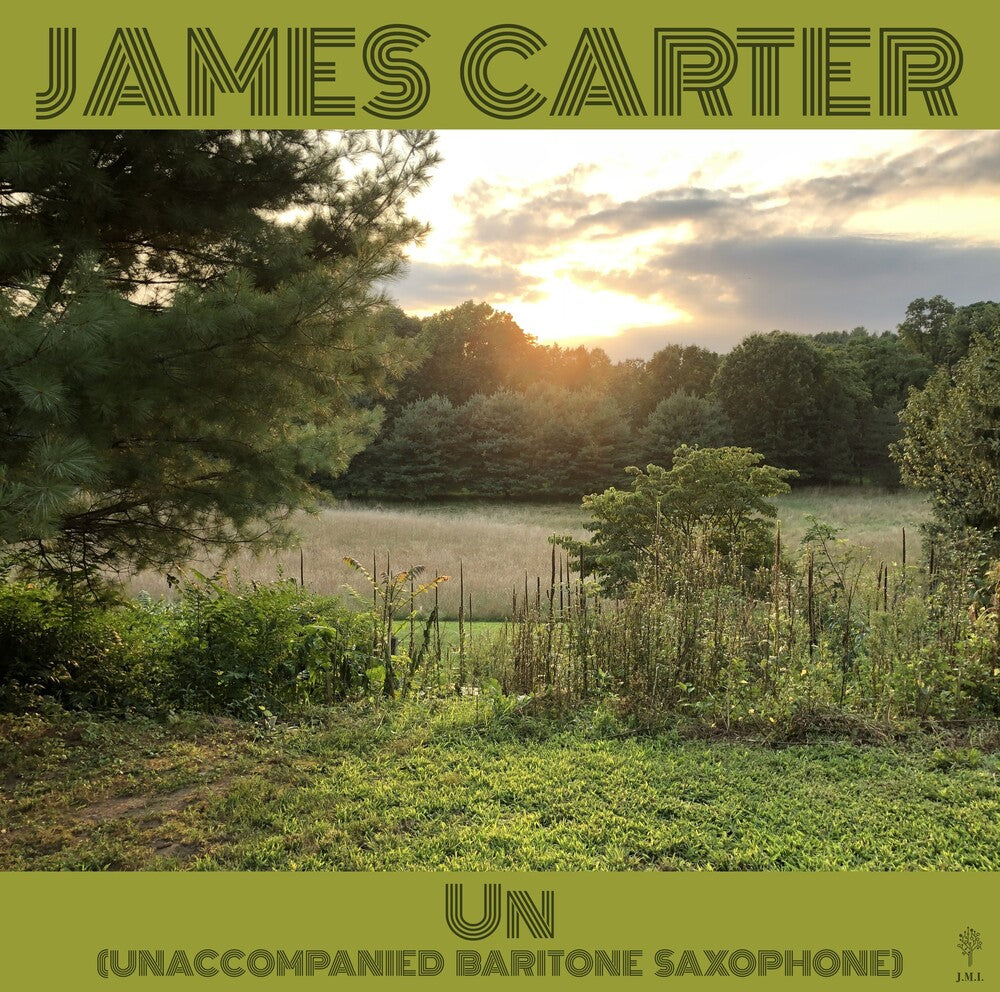 Un (Unaccompanied Baritone Saxophone) (Gate) [LP] Vinyl Record