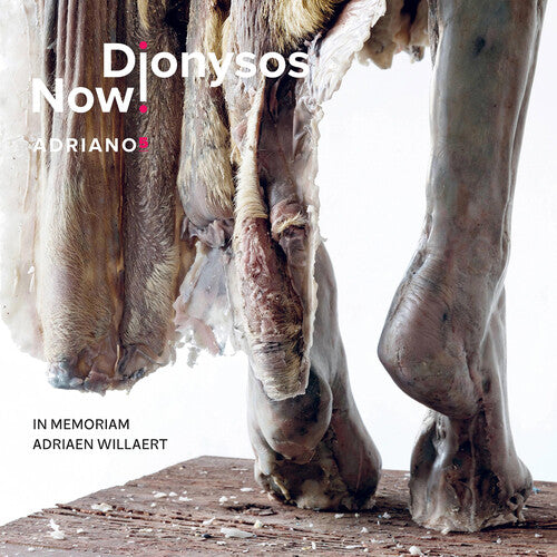Dionysos Now - Adriano 5 - Music CD