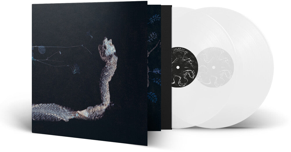 Tenhi - Maaaet [LP] Vinyl Record