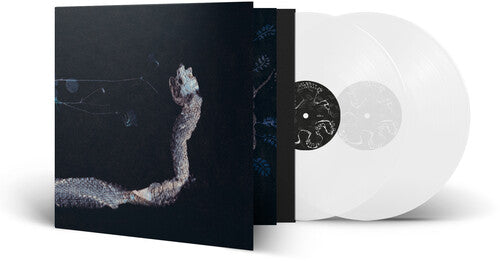 Tenhi - Maaaet - Vinyl Record