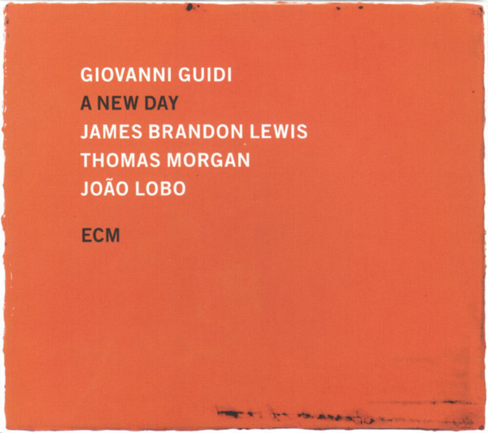 the album cover for Giovanni Guidi  / Lewis,James Brandon / Morgan,Thom - New Day