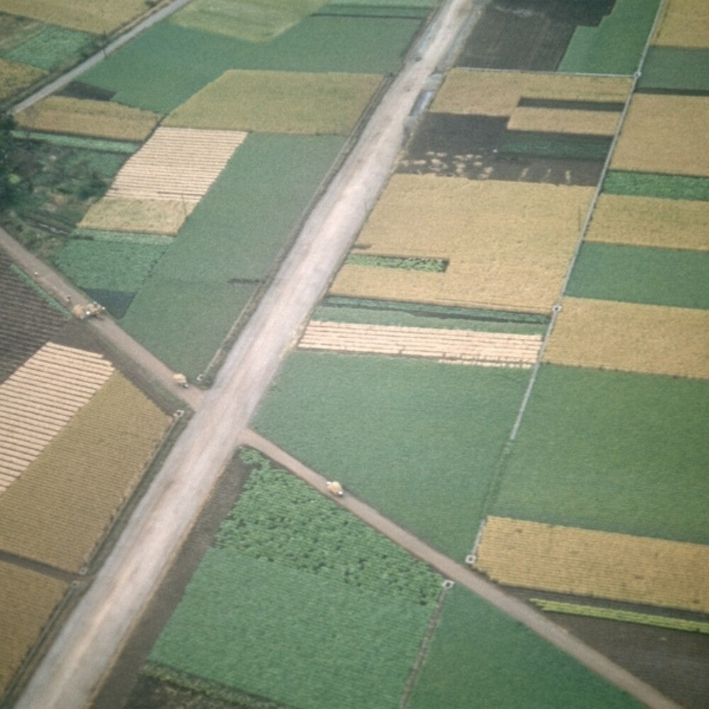 Celer - Perfectly Beneath Us (Remastered) [Remastered] Vinyl Record