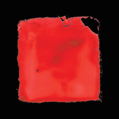 Salvia Palth - Last Chance To See - Vinyl Record