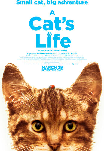 Cat's Life - Cat's Life - DVD