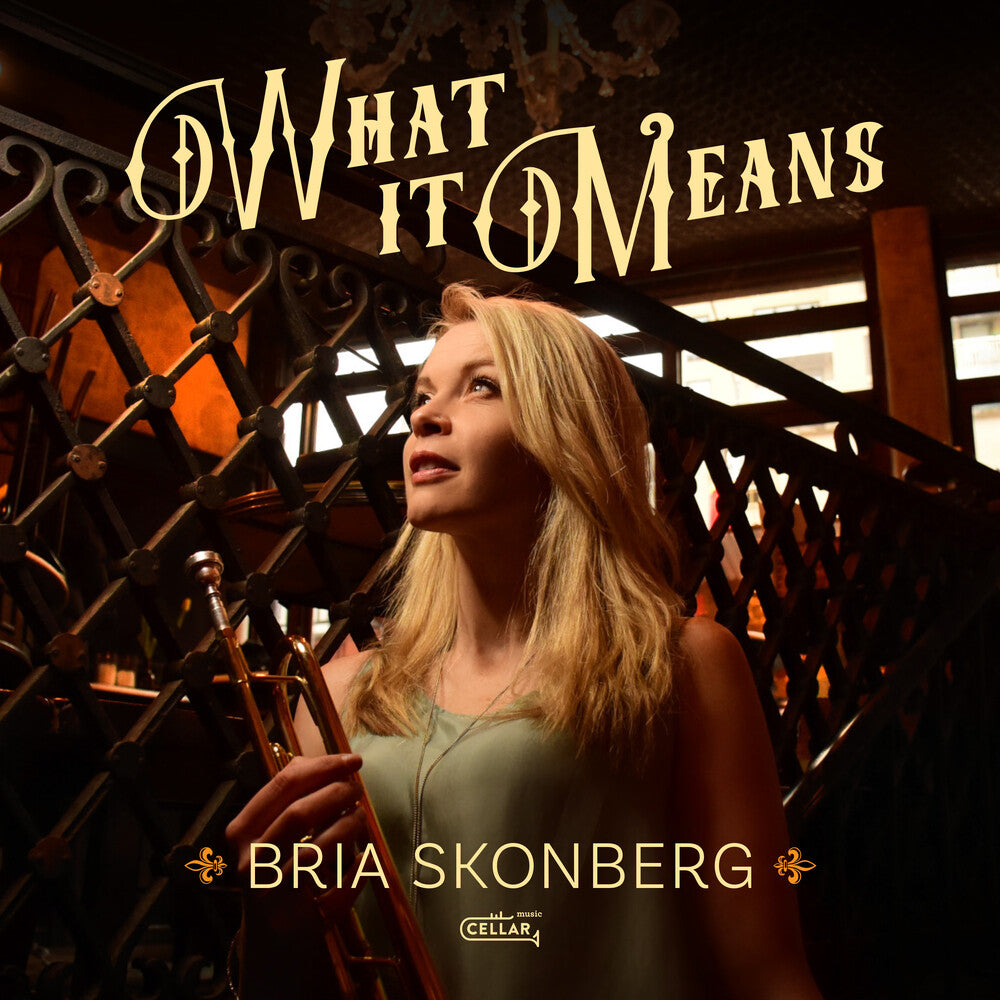 What It Means (Black Vinyl) (Blk) [Colored Vinyl] Vinyl Record