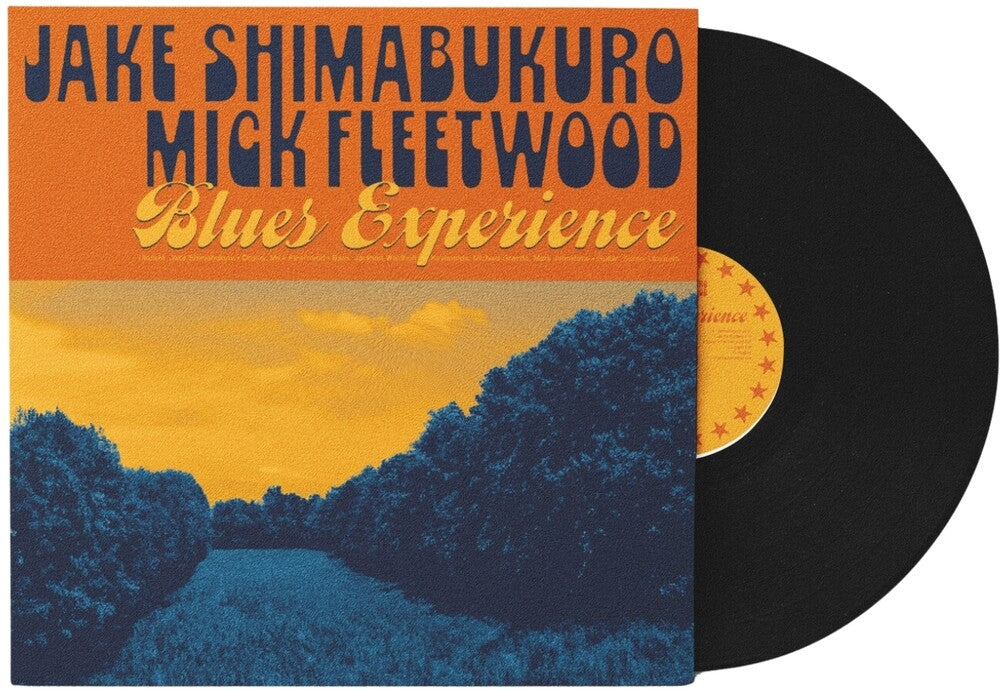 Blues Experience [180 Gram] Vinyl Record